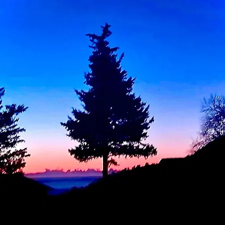 Riviera Dolce Кампороссо