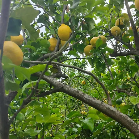 Дом отдыха Riviera Dolce