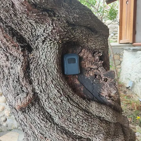 Riviera Dolce Дом отдыха *