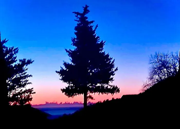 Riviera Dolce Camporosso (Liguria)