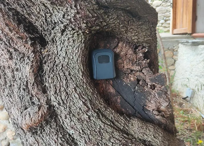 Riviera Dolce Tatil Evi *